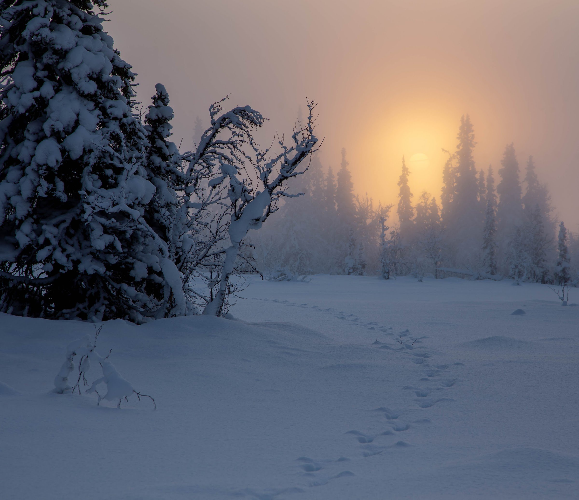 Jougdadalen Nature Reserve